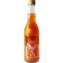 Potion of the Phoenix - Pozione della Fenice Gusto Limonata Pesca - 330ml