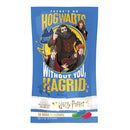Harry Potter Jelly Belly Mix - Caramelle gusto frutta - 28g